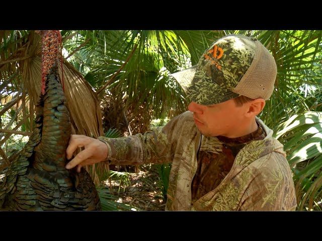 Video: How to Pluck and Clean a Turkey With Steven Rinella