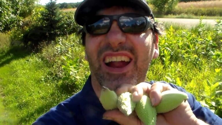 Video: Dan Infalt Talks Milkweed For Scent Control