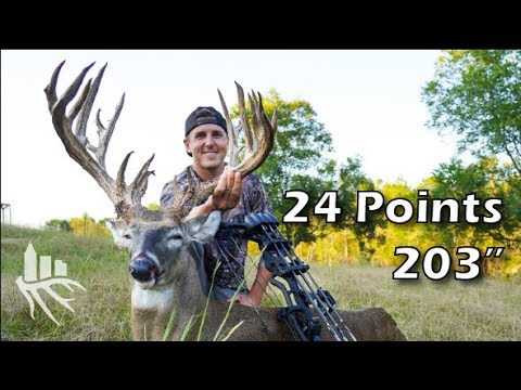 Video: 207″ Giant Deer In Atlanta