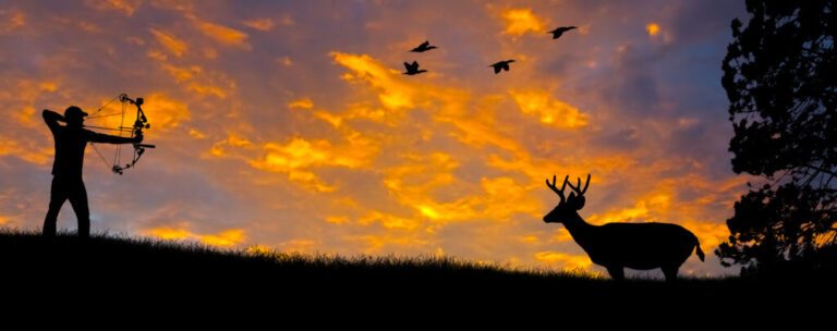 Last Minute Ideas To Get Ready For Whitetail Bow Season