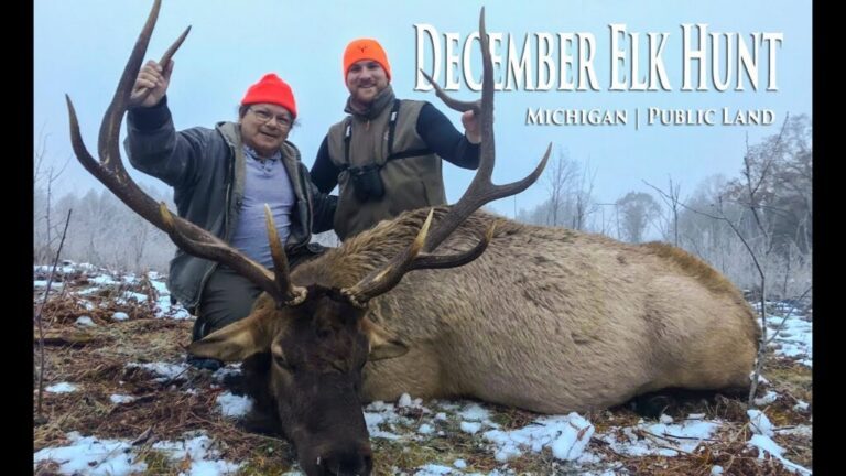 Video: Michigan Elk Hunt