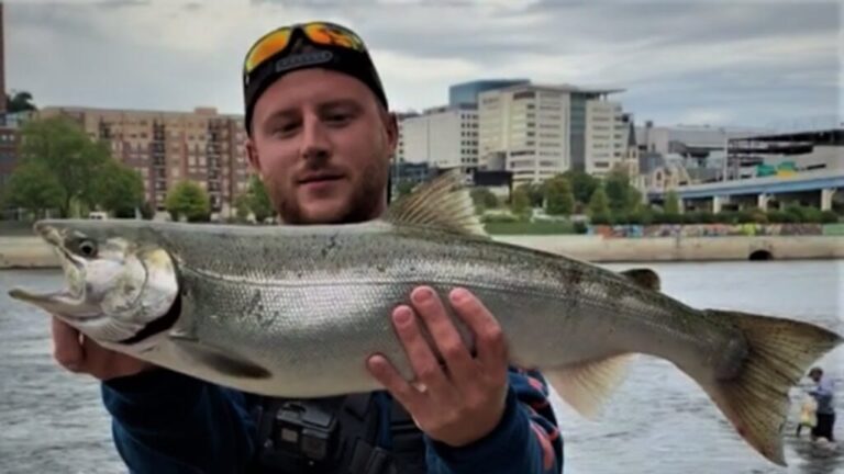 Video: Michigan Fall Coho Salmon Fishing