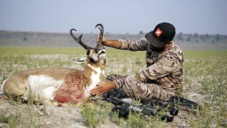 Video: Archery Antelope With Remi Warren