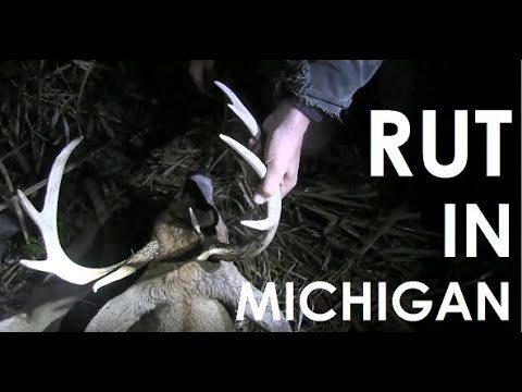 Video: Michigan Rut Bow Hunting – 10 Point Buck