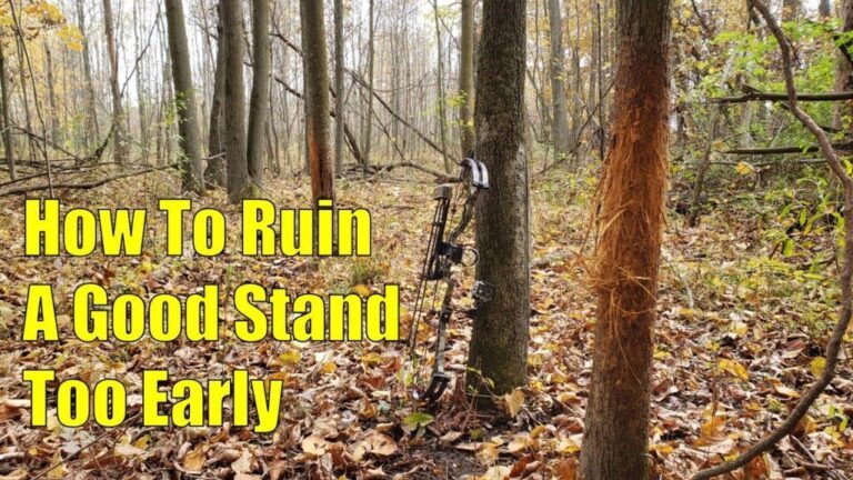 Video: Big Reason Not To Hunt Your Best Rut Stands Too Early
