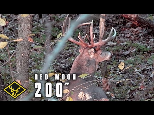 Video: The Deer Society – 200 Inch Buck