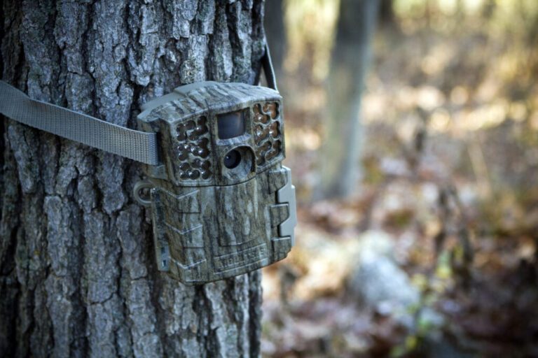 Is The Use Of Trail Cameras Fair Chase?
