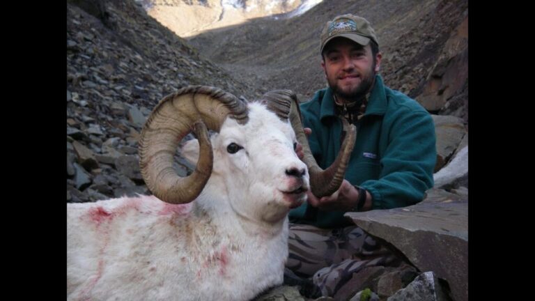 Video: Alaska Dall Sheep Hunting in the Brooks Range
