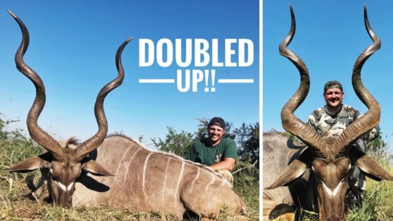Video: South African Kudu Double