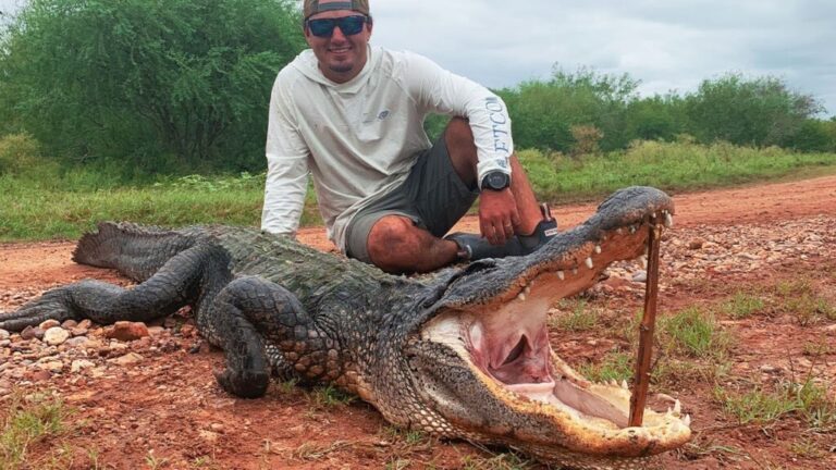 Video: Texas Alligator Hunting