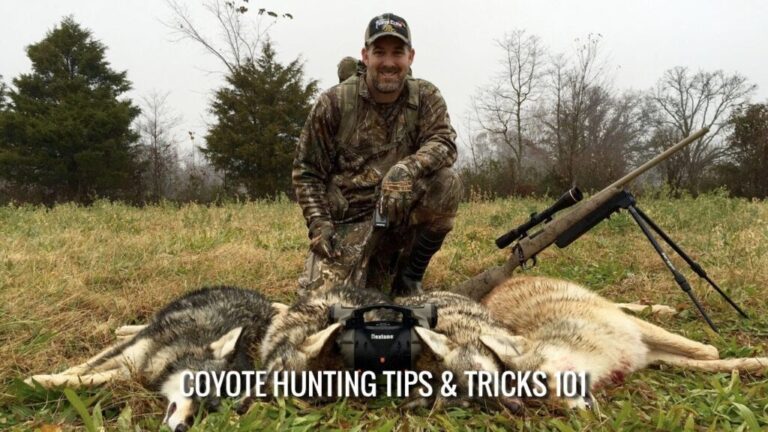 Video: Coyote Hunting Tips and Tricks