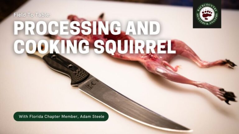 Video: Field To Table: How To Process and Cook Squirrel