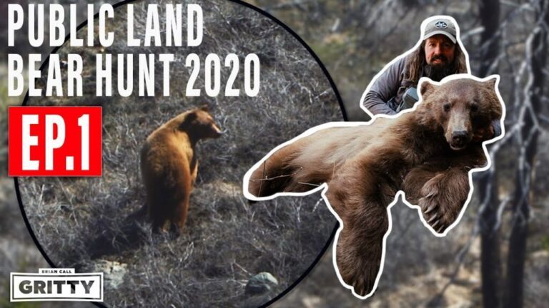 Video: High Mountain Black Bear Hunt