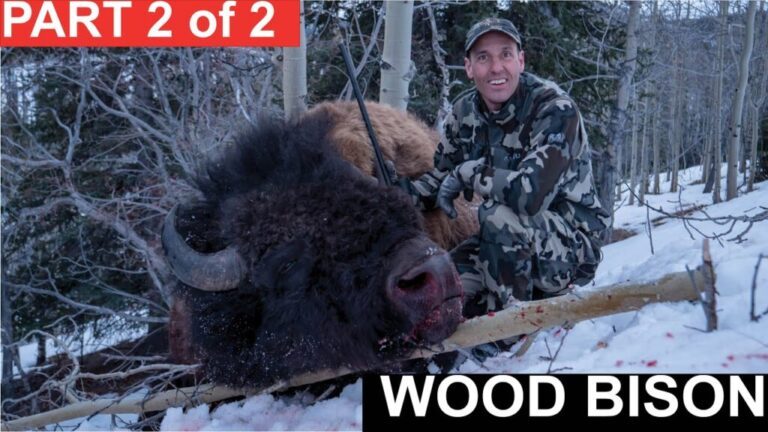 Video: Yukon Bison Hunt