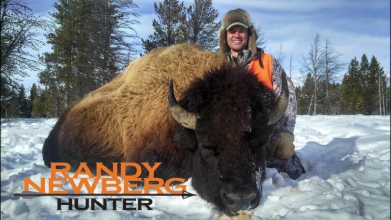 Video: Hunting Montana Buffalo