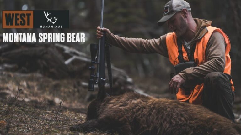 Video: Montana Public Land Spring Bear Hunt