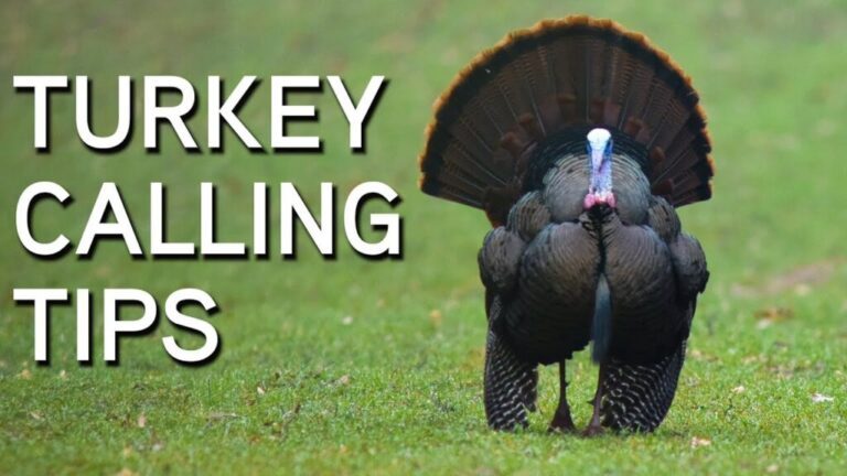 Video: Turkey Calling Tips