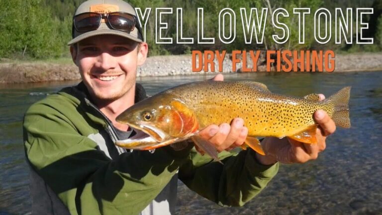 Video: Fly Fishing In Yellowstone National Park
