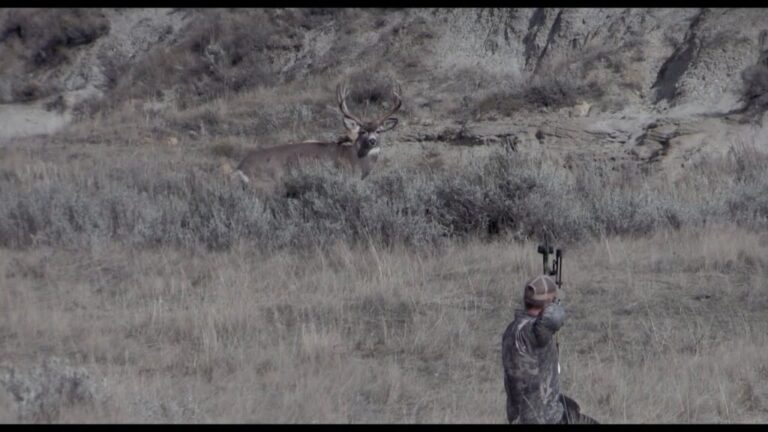 Video: Archery Mule Deer Hunt