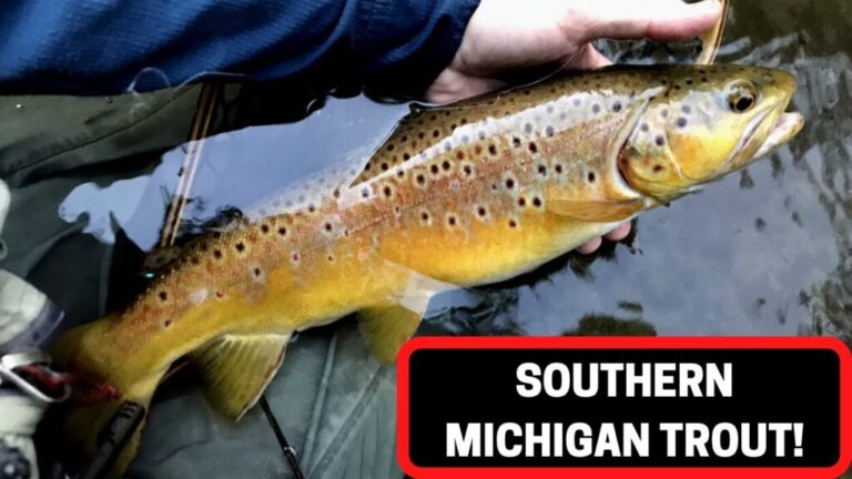 Video: Fly Fishing Southern Michigan