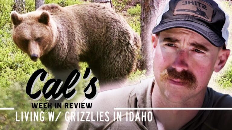 Video: Cal In The Field – Living With Grizzlies in Idaho