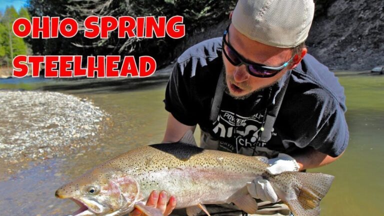 Video: Ohio Spring Steelhead