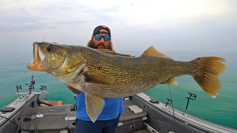 Video: Walleye Fishing Lake Erie