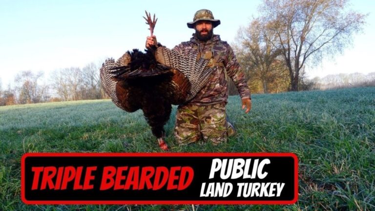 Video: Michigan Turkey Hunting