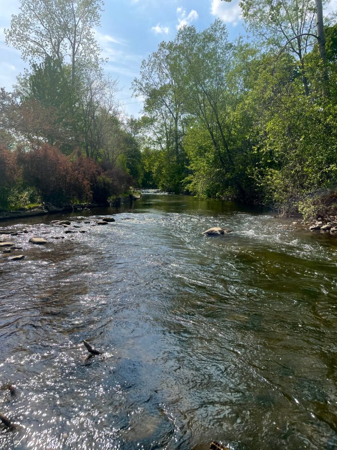 Know Your River: Paint Creek – Rochester Hills