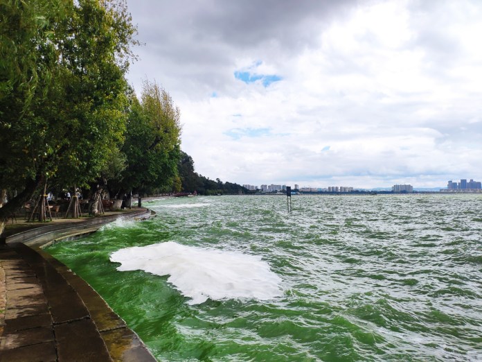 MDHHS recommends Michiganders avoid foam on lakes and rivers