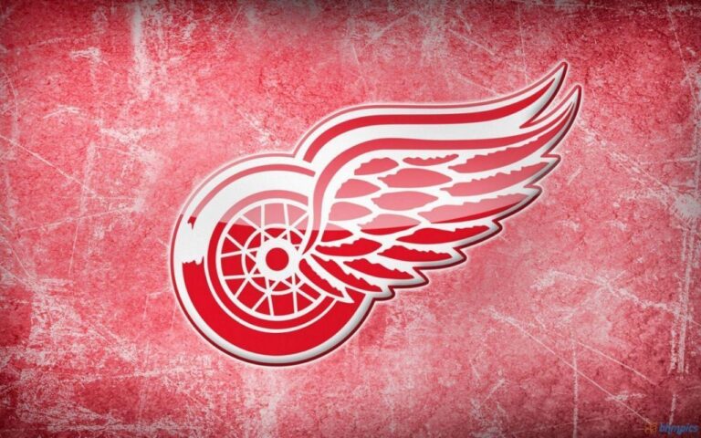 Detroit Red Wings recall goaltender under emergency conditions